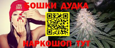 гашик Камень-на-Оби