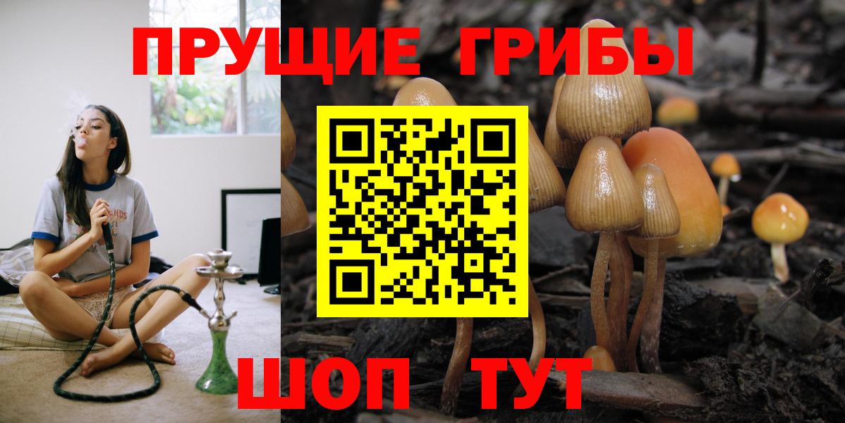 Псилоцибиновые грибы MAGIC MUSHROOMS  Галлюциногенные грибы ЛСД  Вход с VPN  Щёлково 